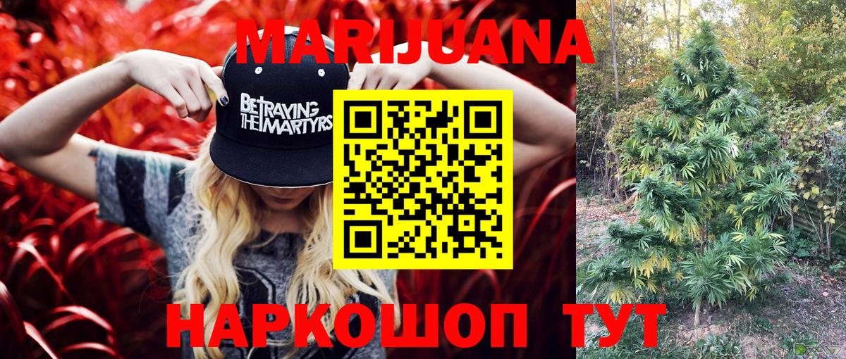 Канабис конопля Губкинский